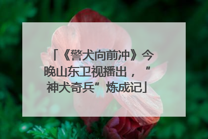 《警犬向前冲》今晚山东卫视播出，“神犬奇兵”炼成记