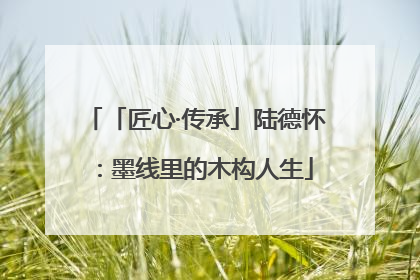 「匠心·传承」陆德怀：墨线里的木构人生