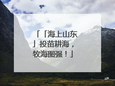 「海上山东」投苗耕海，牧海图强！