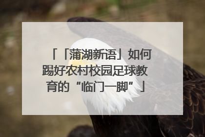 「蒲湖新语」如何踢好农村校园足球教育的“临门一脚”
