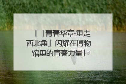 「青春华章·重走西北角」闪耀在博物馆里的青春力量