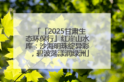 「2025甘肃生态环保行」红崖山水库：沙海明珠绽异彩，碧波荡漾润绿洲