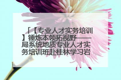 【专业人才实务培训】锤炼本领拓视野——局系统地质专业人才实务培训班赴桂林学习岩溶地质防灾与韧性城市建设前沿实践