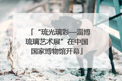 “琉光璃彩—淄博琉璃艺术展”在中国国家博物馆开幕