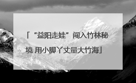 “益阳走娃”闯入竹林秘境 用小脚丫丈量大竹海