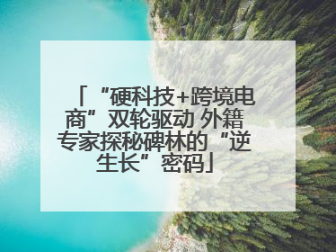“硬科技+跨境电商”双轮驱动 外籍专家探秘碑林的“逆生长”密码