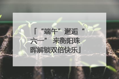 “端午”邂逅“六一” 来衡阳珠晖解锁双倍快乐