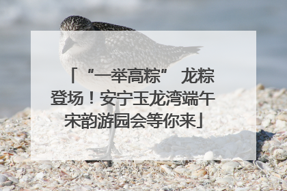 “一举高粽” 龙粽登场！安宁玉龙湾端午宋韵游园会等你来
