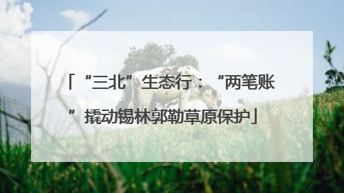 “三北”生态行：“两笔账”撬动锡林郭勒草原保护
