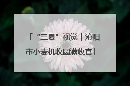 “三夏”视觉｜沁阳市小麦机收圆满收官