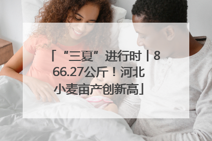 “三夏”进行时丨866.27公斤！河北小麦亩产创新高