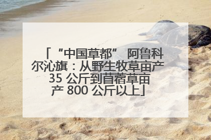 “中国草都” 阿鲁科尔沁旗：从野生牧草亩产 35 公斤到苜蓿草亩产 800 公斤以上