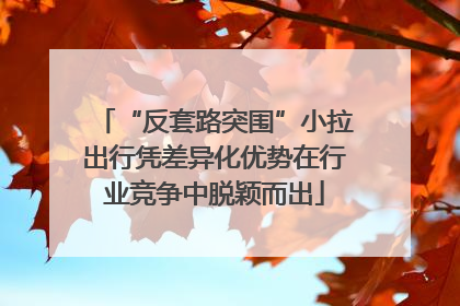 “反套路突围”小拉出行凭差异化优势在行业竞争中脱颖而出
