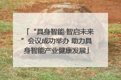 “具身智能·智启未来”会议成功举办 助力具身智能产业健康发展