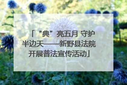 “典”亮五月 守护半边天——新野县法院开展普法宣传活动