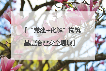 “党建+化解”构筑基层治理安全堤坝