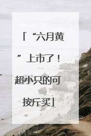“六月黄”上市了！超小只的可按斤买