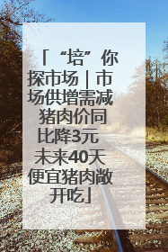 “培”你探市场｜市场供增需减 猪肉价同比降3元 未来40天便宜猪肉敞开吃