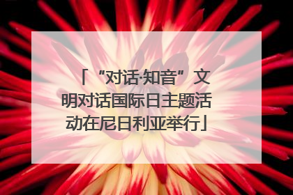 “对话·知音”文明对话国际日主题活动在尼日利亚举行