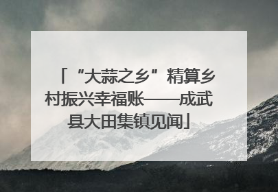 “大蒜之乡”精算乡村振兴幸福账——成武县大田集镇见闻