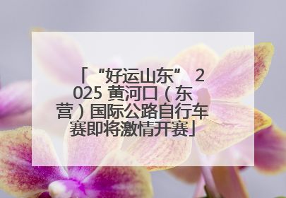 “好运山东” 2025 黄河口（东营）国际公路自行车赛即将激情开赛