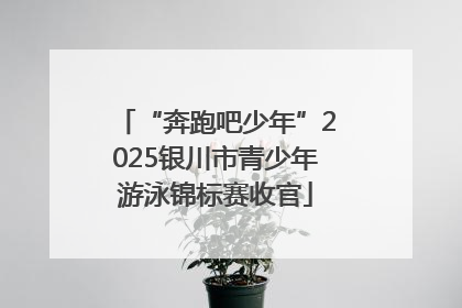 “奔跑吧少年”2025银川市青少年游泳锦标赛收官