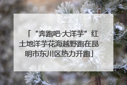 “奔跑吧·大洋芋”红土地洋芋花海越野跑在昆明市东川区热力开跑