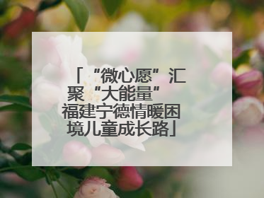 “微心愿”汇聚“大能量” 福建宁德情暖困境儿童成长路