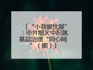 “小巷解忧屋”：市井烟火中织就基层治理“同心网”（图）