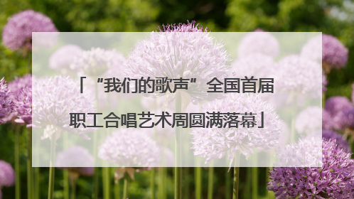 “我们的歌声”全国首届职工合唱艺术周圆满落幕