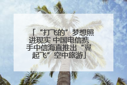 “打飞的”梦想照进现实 中国电信携手中信海直推出“翼起飞”空中旅游
