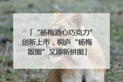 “杨梅酒心巧克力”创新上市，桐庐“杨梅版图”又添新拼图