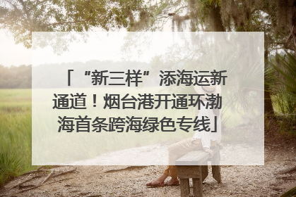 “新三样”添海运新通道！烟台港开通环渤海首条跨海绿色专线