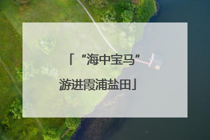 “海中宝马”游进霞浦盐田