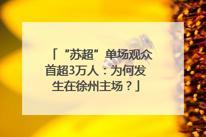 “苏超”单场观众首超3万人：为何发生在徐州主场？