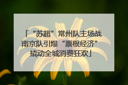 “苏超”常州队主场战南京队引爆“票根经济” 撬动全城消费狂欢