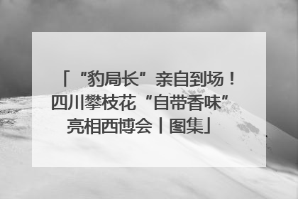 “豹局长”亲自到场！四川攀枝花“自带香味”亮相西博会丨图集