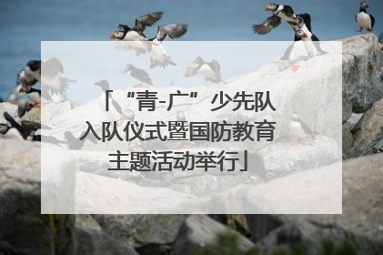“青-广”少先队入队仪式暨国防教育主题活动举行