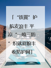 “铁翼”护航麦浪丰 平凉“一喷三防”织就夏粮丰收防护网