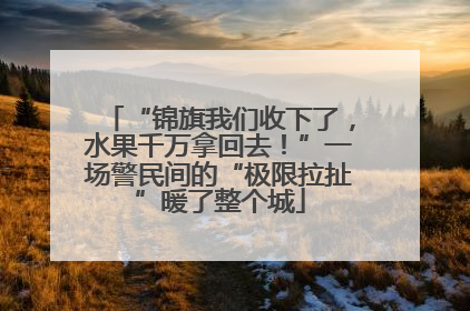 “锦旗我们收下了，水果千万拿回去！”一场警民间的“极限拉扯”暖了整个城