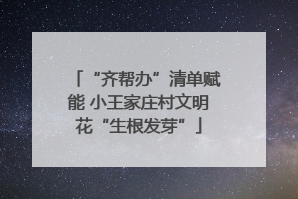 “齐帮办”清单赋能 小王家庄村文明花“生根发芽”