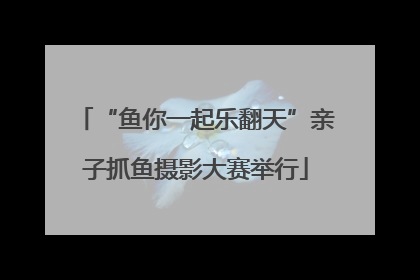 “鱼你一起乐翻天”亲子抓鱼摄影大赛举行