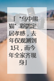 “鸟中熊猫”彩鹮定居孝感，去年仅观测到1只，而今年全家齐现身