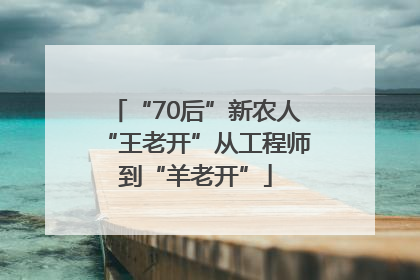 “70后”新农人“王老开”从工程师到“羊老开”