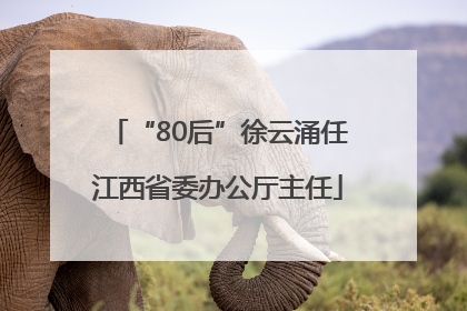 “80后”徐云涌任江西省委办公厅主任