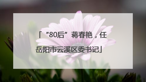 “80后”蒋春艳，任岳阳市云溪区委书记