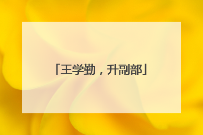 王学勤，升副部