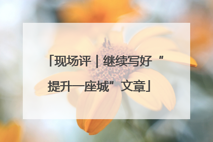 现场评｜继续写好“提升一座城”文章