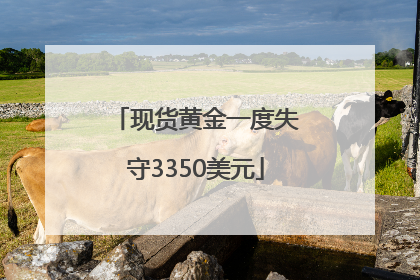 现货黄金一度失守3350美元