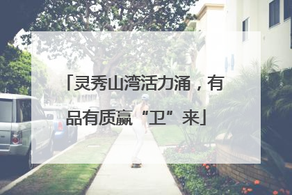 灵秀山湾活力涌，有品有质赢“卫”来